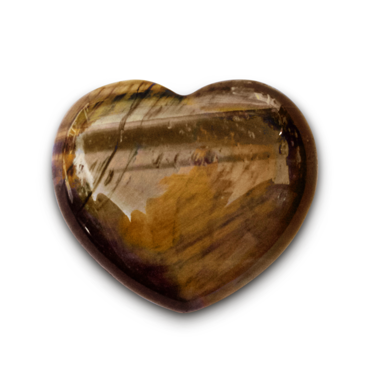 image00005-.png