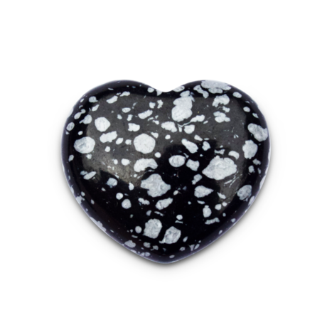 image00019-.png
